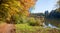 Beautiful walkway along moor lake thanning in autumn