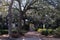 Beautiful Walkway at Chippewa Square with Trees and Spanish Moss in Savannah Georgia