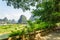 Beautiful walkway among green trees along the Li River, Yangshuo