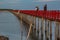 Beautiful of The walkway red wooden bridge in evening at Bang Khun Thian sea view, Bang Khun Thian, Bangkok. Dolphin View Point