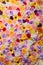 Beautiful wall made of red violet yellow flowers press-wall,