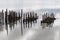 Beautiful water landscape with fragments of piles of the old bridge