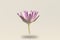 Beautiful water lily, Single lotus flower isolated with fog on white background