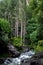 Beautiful Water Stream in green forest between big Black Rocks in Gilgit Pakistan