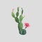 Beautiful watercolor cactus vector combination. Hand drawn stock illustrations. White background. Isolated objects.