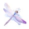 Beautiful watercolor dragonfly Illustration Drawing