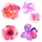 Beautiful Watercolor flower set