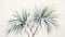 Beautiful Watercolor Palm Tree Illustration With Yucca Tree