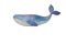 beautiful watercolor set with sea inhabitants fish whale multicolored for decor and design