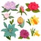 Beautiful watercolor vector handmade flower botanical bloom painting hand made summer flowers branch petal decoration