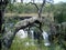 A beautiful waterfall of Australian coast