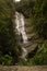 Beautiful waterfall called `Cascatinha Taunay` on green nature in the Atlantic Rainforest, Tijuca Forest National Park