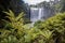 Beautiful Waterfall In Distance With Close Up Forest Ferns