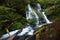 Beautiful waterfall in Douglas County in the U.S. state of Oregon. The long exposure shots two degrees of water fall and some