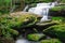 Beautiful waterfall in a forest filled with green trees at Phu Kradung National Park.