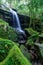 Beautiful waterfall in a forest filled with green trees at Phu Kradung National Park