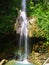 Beautiful waterfall in Hyrcanian forest , Mazandaran , Iran