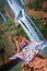 Beautiful waterfall in Morocco. Back of woman in beautiful dress looking fall Ouzoud. Exotic nature of North Africa,