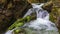 Beautiful waterfall, plants and stones in the forest