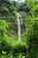 Beautiful waterfall in tropical rainforest, Indonesia waterfall in Cimahi. Green background walpaper