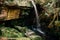 Beautiful waterfall with tropical tree and green moss covered stones. Tham Yai waterfall at Phu Kradueng National park, Loei -