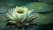 Beautiful waterlily in the pond. 3D rendering.