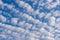 Beautiful weather with a patch of cirrocumulus clouds in a row against the blue sky. Cloud formation