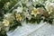 Beautiful wedding arch for marriage decorated with flowers