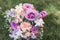 Beautiful wedding colorful bouquet for bride with golden rings on it lies on grass. Purple, white and peach flowers
