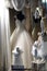 Beautiful wedding dress in a shop window, going around the city of Lefkada