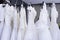 Beautiful wedding dresses hanging on a hanger. White and cream colored bridal dresses. Collection fashion of wedding dresses