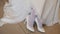 Beautiful wedding shoes close up