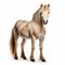 Beautiful Welsh Pony Horse Standing Tall In Vibrant Silver And Beige