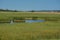 Beautiful wetlands of Hamden Slough on the Detroit Lakes in Audubon, Becker County, Minnesota