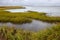 The beautiful wetlands of New Jersey