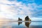 The Beautiful Wharariki Beach with famous rocks. Sunset scene golden light and silhouette. Nelson, South Island, New Zealand