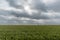 Beautiful wheat field vista in Western Oklahoma