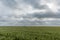 Beautiful wheat field vista in Western Oklahoma