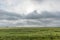 Beautiful wheat field vista in Western Oklahoma