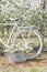 Beautiful white bike is in the apple lush garden with a basket of flowers