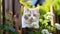 A beautiful white cat lying on a wooden fence in a garden