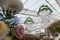 Beautiful white chandeliers with decorative artificial green ivy plant in outdoors restaurant interior