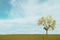 Beautiful white Cloudy and blue sky over tree isolated on green field background.