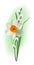 Beautiful white daffodil with a willow branch. Easter picture for greetings and page decoration.