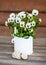 Beautiful white and dark blue horned pansy flowers in a metal flowerpot with snail houses on garden wooden table.