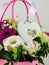 Beautiful white Eustoma Gypsophila flowers bouquet in pink pastel basket dark background. Floral gift blooming wallpaper