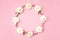 Beautiful white flower flat lay circle on pink pastel background