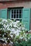 Beautiful white flowering bush in front of window with green shutters in Charleston.