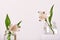 Beautiful white flowers in glass jar on white podium. Spring fragrances concept, minimal style, low angle