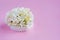 Beautiful white flowers on a pastel pink background. Women`s Day, Mother`s Day, Valentine`s Day, Wedding, Easter. Side view, co